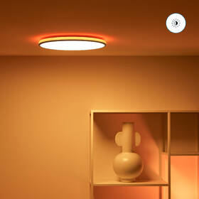 Stropní svítidlo WiZ Rune Ceiling 21 W RGB černé

 obrázek produktu 4 z 10