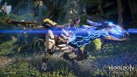 Hra Sony PlayStation 5 Horizon Forbidden West 

 obrázek produktu 5 z 12