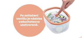 Sada vakuových dóz Status 177110 lososová

 obrázek produktu 10 z 13