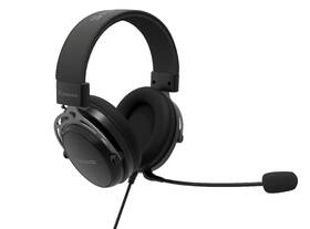 Headset Genesis TORON 301 Stereo černý

 obrázek produktu 3 z 6