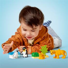 Stavebnice LEGO® DUPLO® 10442 Rodinky divokých zvířat: Tučňáci a lvi 

 obrázek produktu 8 z 9