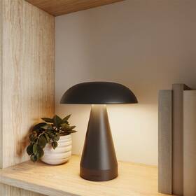 Stolní lampička Philips Mycena DSK215 2W 30-65K B USB černá

 obrázek produktu 2 z 6