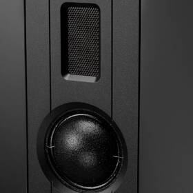 Reproduktory Swan D8.1MKII (2 ks) hnědé

 obrázek produktu 4 z 7