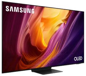 Televize Samsung QE65S95H 

 obrázek produktu 5 z 8