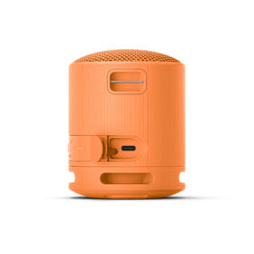 Přenosný reproduktor Sony SRS-XB100 oranžový

 obrázek produktu 4 z 9