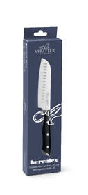 Nůž SANTOKU Lion Sabatier International Mini 791380, 13 cm nerez

 obrázek produktu 1 z 2