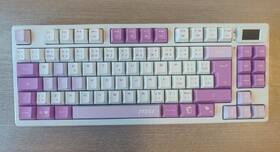 Klávesnice MSI FORGE GK600 TKL Wireless, CZ/SK růžová

 obrázek produktu 5 z 7