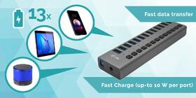 USB Hub i-tec 13x USB 3.0, 60W stříbrný

 obrázek produktu 4 z 4