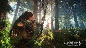 Hra Sony Horizon Zero Dawn 

 obrázek produktu 3 z 7