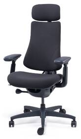 Ergonomická židle LiberNovo Omni Gen Graphite, 48cm grafitová

 obrázek produktu 4 z 5