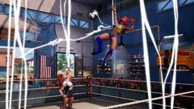 Hra Take 2 PlayStation 4 WWE Battlegrounds 

 obrázek produktu 4 z 6