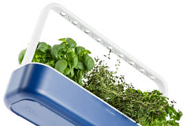 Chytrý květináč Click and Grow Smart Garden 9 tmavě modrý

 obrázek produktu 3 z 7