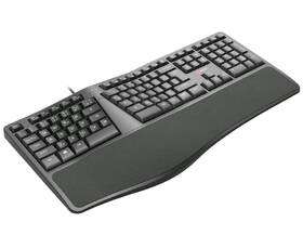 Klávesnice C-Tech Ergo KB-113E, CZ/SK Layout černá

 obrázek produktu 2 z 4