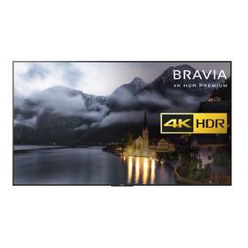 Televize Sony KD-55XE9005B 

