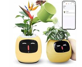 Chytrý květináč Plantsio IVY žlutý

 obrázek produktu 1 z 5