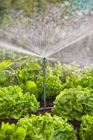 Trubka rozvodná Gardena MicroDrip System (5 ks) 

 obrázek produktu 4 z 5