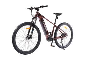 Elektrokolo GoGEN Campo lite MX 720 29" 17" 2026 hnědé/vínové

 obrázek produktu 16 z 24