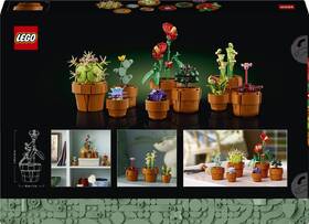 Stavebnice LEGO® Botanicals 10329 Miniaturní rostliny 

 obrázek produktu 6 z 8