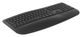 Klávesnice s myší Logitech Signature Comfort Plus MK880, US layout grafitová

 obrázek produktu 4 z 23
