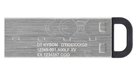 USB Flash Kingston DataTraveler Kyson 128GB stříbrný

 obrázek produktu 2 z 3