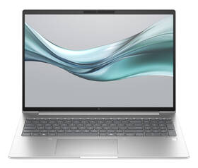 Notebook HP EliteBook 665 G11 stříbrná barva
