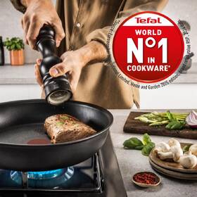 Pánev Tefal G3340743, 30 cm černá

 obrázek produktu 4 z 8