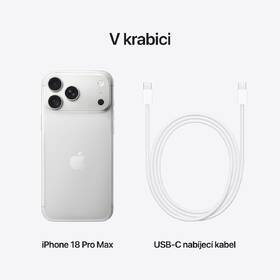 Mobilní telefon Apple 256 GB stříbrný 

 obrázek produktu 9 z 10