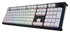 Klávesnice HATOR Skyfall 100 Wireless, US layout černá/bílá

 obrázek produktu 1 z 7