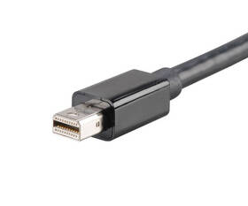 Redukce AKASA Mini DisplayPort/HDMI, 0,2m černá

 obrázek produktu 2 z 2