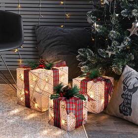 LED dekorace Solight vánoční dárky, 48x LED, IP44 (3 ks) 

 obrázek produktu 4 z 6