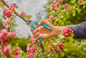 Nůžky zahradní Gardena EasyCut 

 obrázek produktu 2 z 3