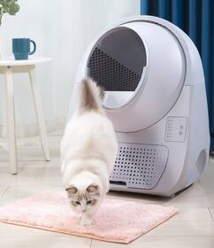Chytrý záchod Catlink Scooper Young Version bílý

 obrázek produktu 3 z 4
