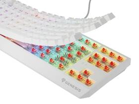 Klávesnice Genesis THOR 230, TKL, RGB, Outemu Red, bezdrátová, US layout bílá barva
