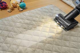 Tyčový vysavač Bissell 4090N PowerClean FurFinder Select černý/modrý

 obrázek produktu 5 z 11