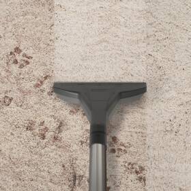 Víceúčelový vysavač Thomas MULTI CLEAN x10 PARQUETT zelený

 obrázek produktu 4 z 13