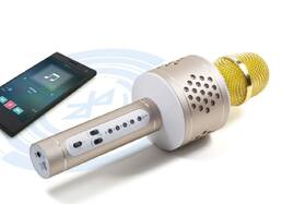 Karaoke mikrofon Technaxx BT-X35 stříbrný/zlatý

 obrázek produktu 4 z 10