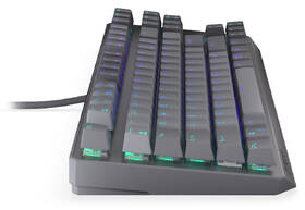 Klávesnice ENDORFY Thock V2 TKL US šedá

 obrázek produktu 5 z 20