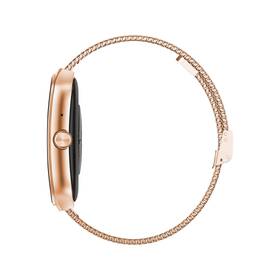 Chytré hodinky LAMAX Flow AMOLED rose gold

 obrázek produktu 7 z 9
