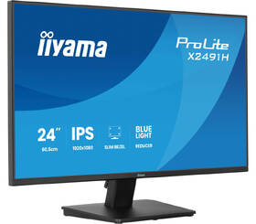 Monitor IIYAMA ProLite X2491H-B1 černý

 obrázek produktu 4 z 9