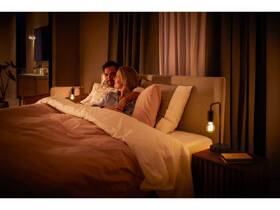 Chytrá žárovka Philips Bluetooth, filament, 7W, E27, White Ambiance 

 obrázek produktu 5 z 7