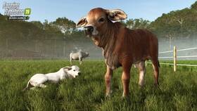 Hra GIANTS software PlayStation 5 Farming Simulator 25: Beans & Alpacas Edition 

 obrázek produktu 8 z 9