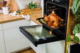 Trouba Gorenje BPS6737E14X černá/nerez

 obrázek produktu 18 z 23