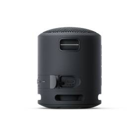 Přenosný reproduktor Sony SRS-XB13 černý

 obrázek produktu 4 z 10