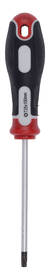Šroubovák Kreator KRT404108 TORX T25X100 

 obrázek produktu 1 z 1