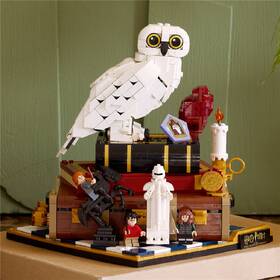Stavebnice LEGO® Harry Potter™ 76466 Kámen mudrců – sběratelská edice 

 obrázek produktu 2 z 8