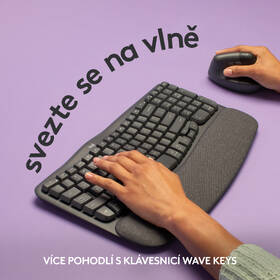 Klávesnice Logitech Wave Keys, CZ/SK layout grafitová

 obrázek produktu 6 z 13