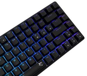 Klávesnice White Shark HAMACHI, RGB, Blue Switch, US layout černá

 obrázek produktu 1 z 11