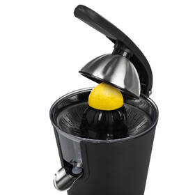 Lis na citrusy Princess 201853 černý

 obrázek produktu 8 z 14