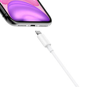 Kabel Xiaomi Mi USB-C/Lightning, 1m bílý

 obrázek produktu 4 z 4
