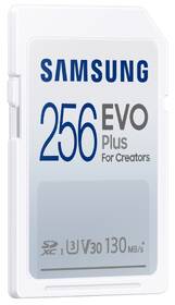 Paměťová karta Samsung 256GB UHS-I U1 (130R/30W) 

 obrázek produktu 1 z 4